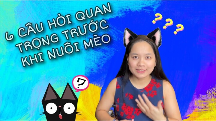 6 Câu Hỏi QUAN TRỌNG Cần Biết Cho Người Nuôi Mèo Lần Đầu Để Không Hối Hận