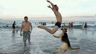 Funny Moments Of The Year Compilation 😆🔥🐷 Try Not To Laugh | Funniest Videos 2022 😆🔥