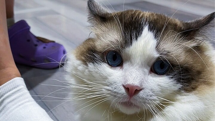 อยากเรียนเวทมนตร์ไหม? ถ้าอย่างนั้นก็เข้ามาเลย!