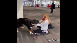 dog man's best friend in  life 😅 |  Dog lifestyle