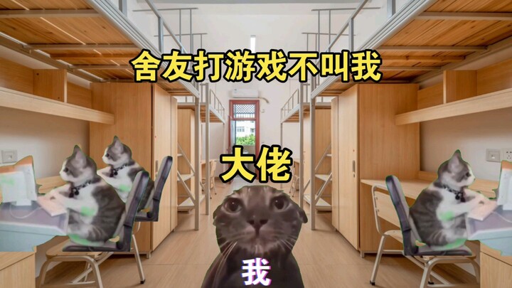 舍友殊不知我是大佬