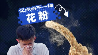 动态视频｜放大1000倍，花粉过敏的元凶竟然是它！