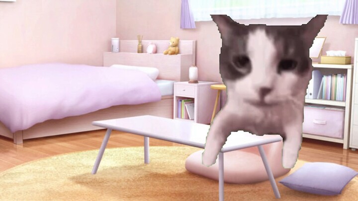 [Cat Meme] Saat saya menonton teman dan keluarga saya menonton Kamen Rider Blade: