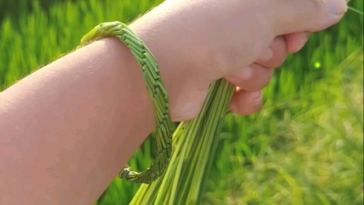 Straw braided bracelets—how many of you still know how to make them? If you want a tutorial, leave m