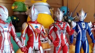 Among the five SHFs, only one was not self-modified.