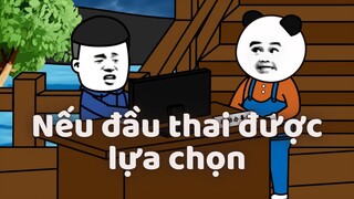 GẤU HÀI HƯỚC: Giả sử đầu thai có thể tự lựa chọn