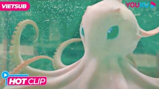 Bạch Tuộc Cứu Mạng Người Đàn Ông | Bạch Tuộc Khổng Lồ -  Big Octopus | Phim Lẻ YOUKU