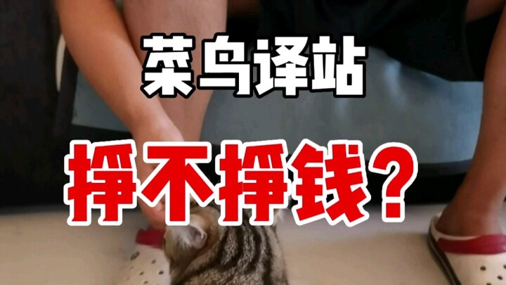 【盘个生意】3-5万开个菜鸟驿站，是好生意吗？