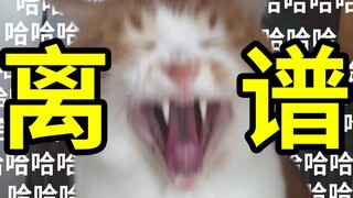 I laughed after listening to it! The dubbing 20 years ago was so brave [Watching countless movies Ⅱ 