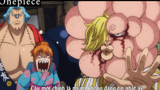 Kế hoạch bị bại lộ #Onepiece