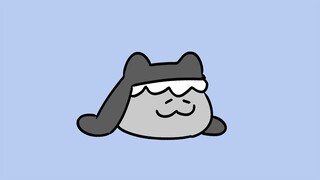 冬天的鲨鲨猫会变成圆猫咪