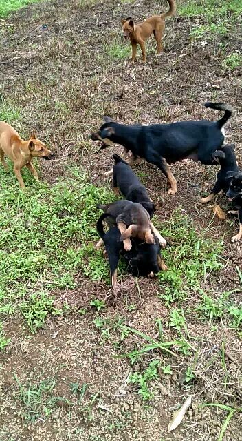 bocil bocil jaman now