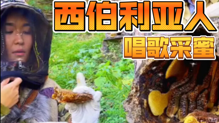 Xiboli Ajin Sings and Collects Honey