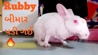 Rubby બીમાર પડી ગઈ 🔥 | रूबी (खरगोश) बीमार पड़ गई | Ruby (rabbit) fell ill | Ravindra Barot Vlogs