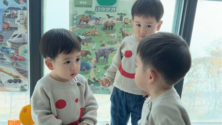 نُسَخ متعددة للشجار بين التوائم الثلاثة