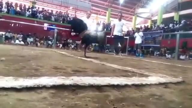 un-scratch Ulo line dirty grey