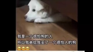 相信后面会是一个相互救赎的感人的故事！