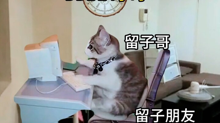 The chill vibes of rushing to meet a deadline—be like...