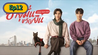 1000 Years Old The Series [🇹🇭] Episode 12 Eng/Sub [BL]