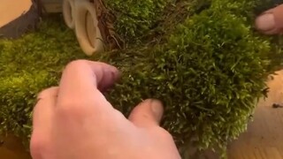 Rumah kecil ini sangat cantik