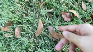 普通的一天#超级vlog