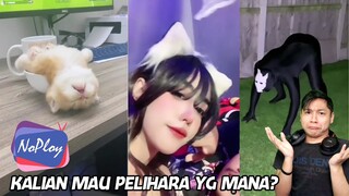 ASUPAN MINGUAN KALIAN NICH | NOPLOY #122