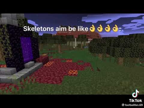 Minecraft Tiktok