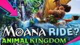 MOANA RIDE coming to Disney's Animal Kingdom? | Details & Layout - Disney News