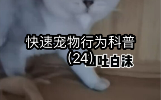 Giảng giải nhanh về hành vi thú cưng.24