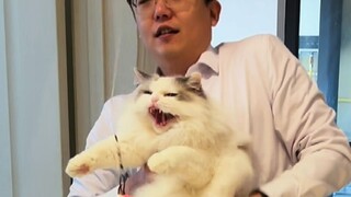 Kucing ini agak galak