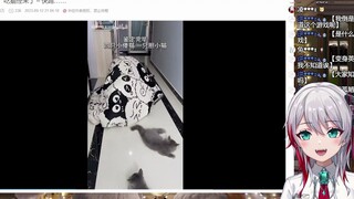 日本天然小姐姐看《汤圆：吃猫怪来了～快跑…》