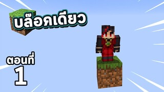 เอาชีวิตรอดบล็อคเดียว!! ตอนที่ 1  บล๊อคเดียว Survival