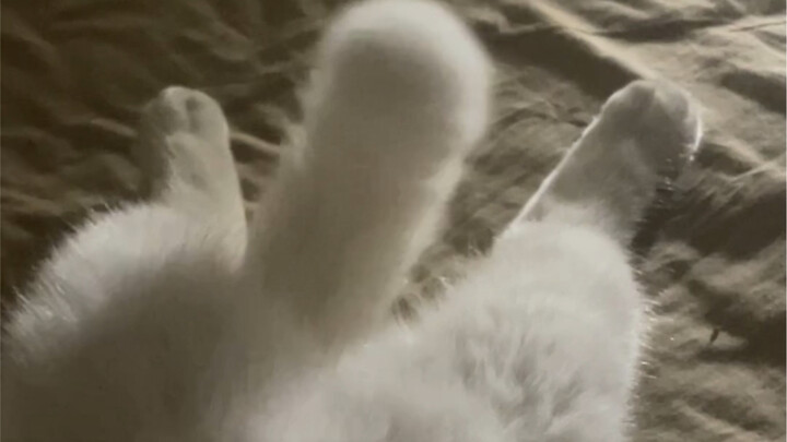 فيديو قصير لقطة ليلية، مُصوَّر حديثًا، شاهده سريعًا!