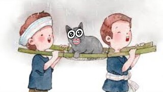 จริงหรือเปล่าที่น้องแมวมี 9 ชีวิต