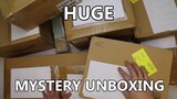 Mystery unboxing: HUGE Darling in the Franxx + Zero Two Anime Merch Haul