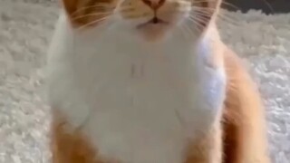 ต้นกำเนิดแห่งความชั่วร้าย นี่หาง่ายกว่าหนังอีกนะ