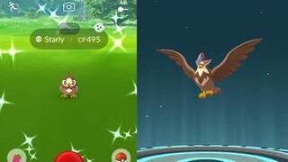 Shiny Starly community day. The gust legacy of Staraptor