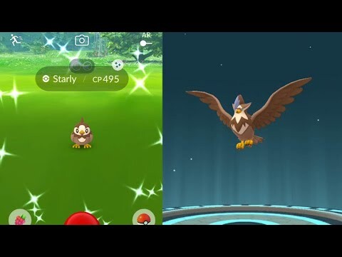 Shiny Starly community day. The gust legacy of Staraptor