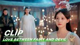 Lord Arbiter Punishes Dongfang Qingcang For Orchid | Love Between Fairy and Devil EP32 | 苍兰诀 | iQIYI