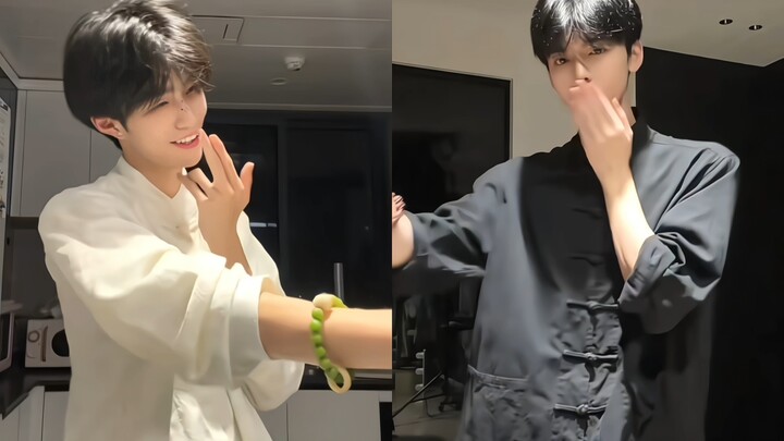 Xu Liu | Mandarin Ducks Playing DJ Groove