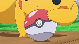 [Pokémon] Chúng tôi mời người huấn luyện Pokémon Pikachu từ Thị trấn Shinshin.