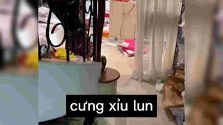 Cưng xỉu lun