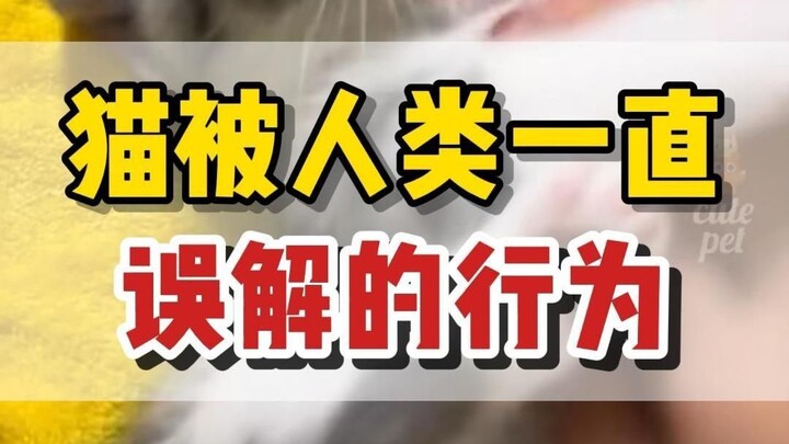 A must-read for cat owners! Behaviors cats have always been misunderstood by humans...