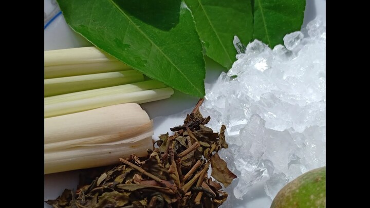 Liều lượng và cách nấu trà chanh sả để phòng chống covid