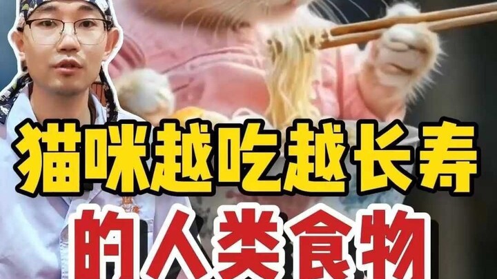 أطعمة تجعل قطتك تعيش لفترة أطول كلما أكلتها أكثر – ما زلتَ لم تحفظها بعد؟