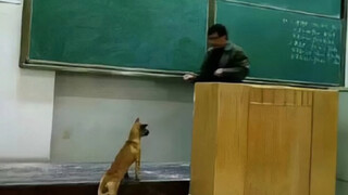 Teacher: I used to think you were different from them. I am very disappointed in you!