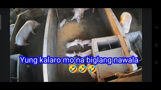 Yung kalaro mo biglang nawala 😅😂🤣