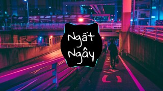 Ngất Ngây Remix Nhạc Hót TiK Tok | H2K x JK - Music Remix