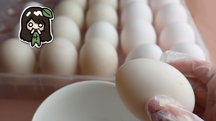 Is this egg here to repay a favor?!