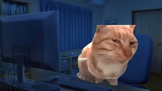 Cat meme｜When you are about to end the broadcast, what should you do if a painful number appears whe